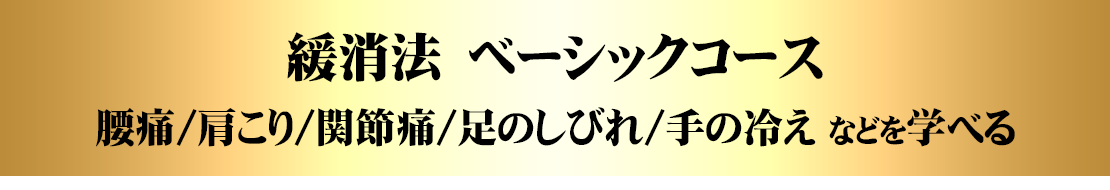 緩消法　ベーシックコース“本物の治療法”を“最も手軽に学べる”コース